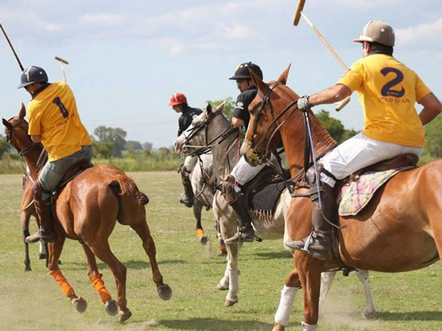 polo players riding horses in polo field
