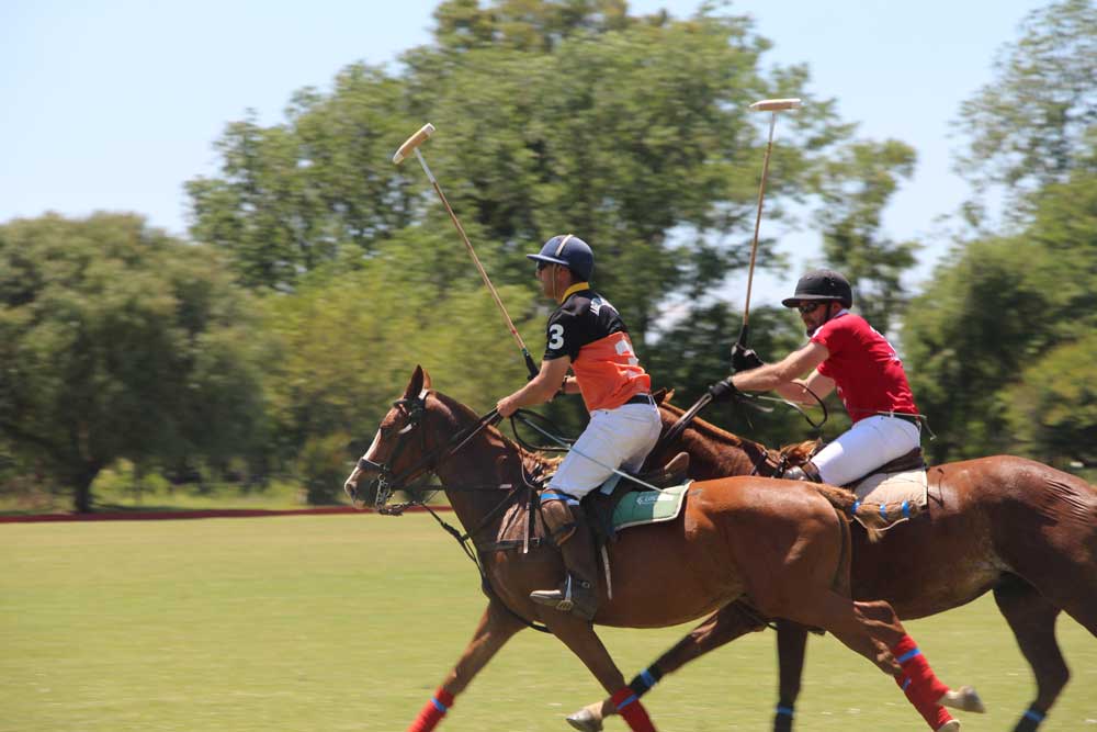 polo players in a tournament