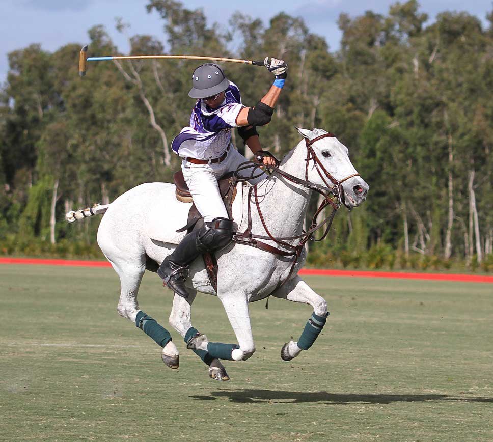 polo player riding horse in polo field
