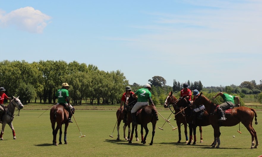 polo players in field on their horses