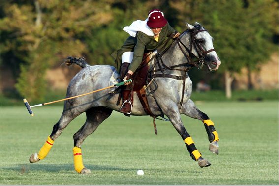 polo player playing on the field