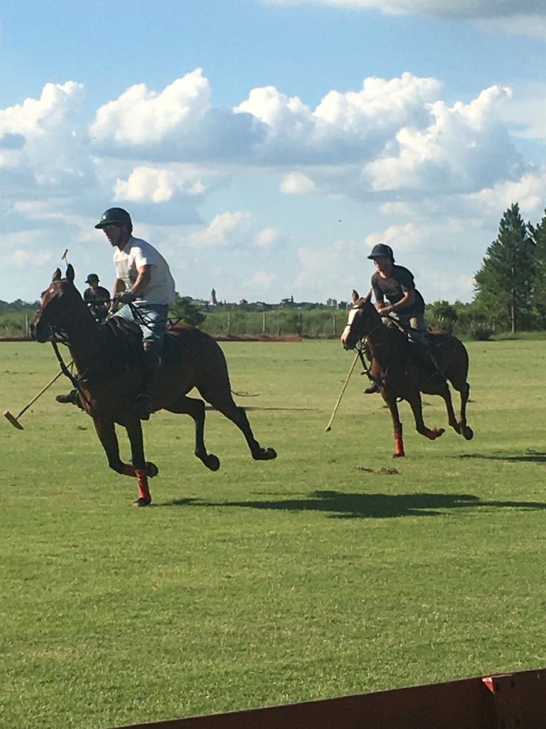 polo players in polo field riding horses