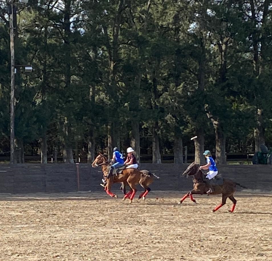 people playing arena polo in argentina polo day